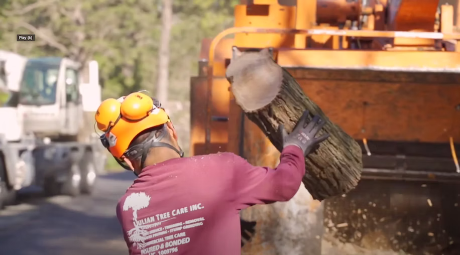 worker throwing a log into a wood chipper
